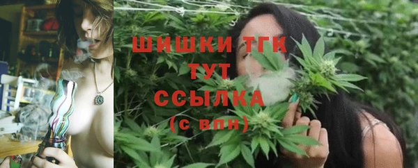 ECSTASY Горнозаводск